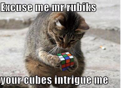 Cat___Rubiks_Cube.jpg