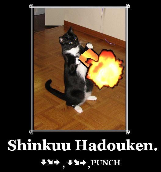 Cat___Shinkuu_Hadouken.jpg