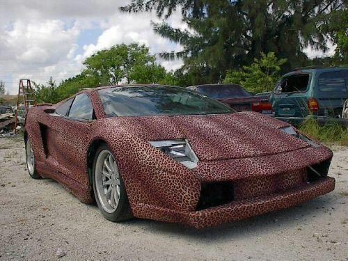 lambo5.jpg