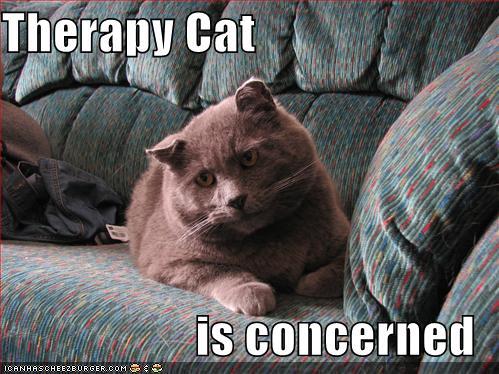 funny_pictures_therapy_cat.jpg