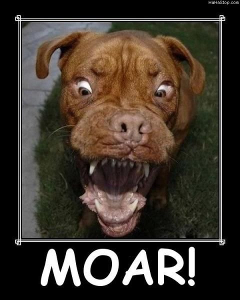 Moar_Dog_Wnts_Moar.jpg