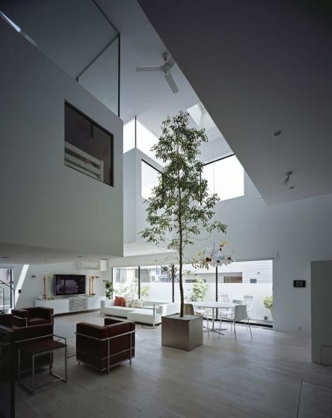 big_tall_tree_in_living_room.jpg