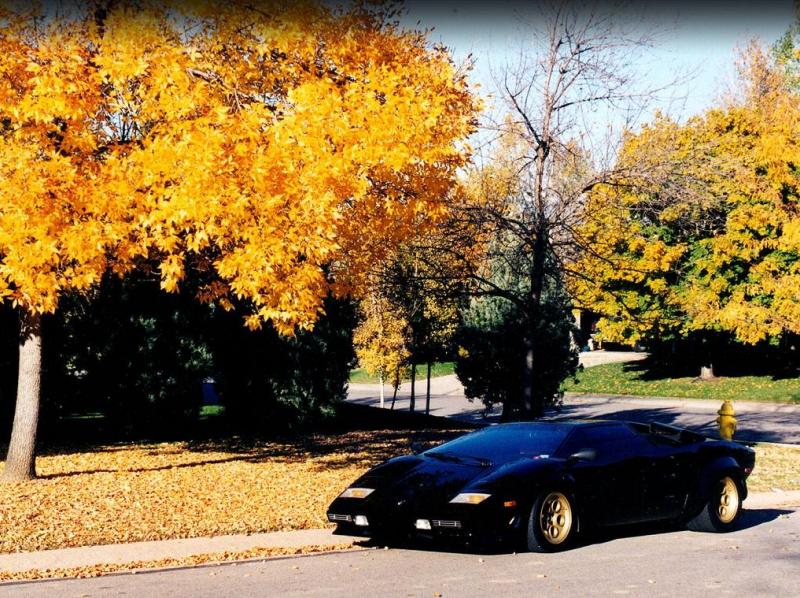 Lamborghini_Countach_front.jpg