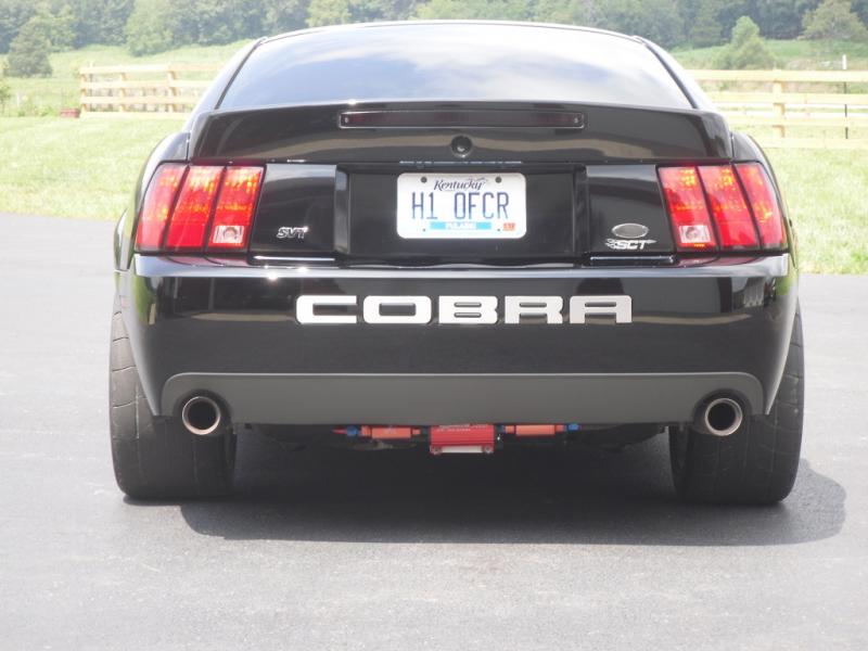 Cobra7.jpg
