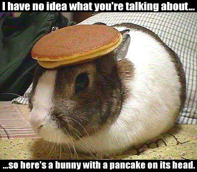 Bunny_with_Pancake.png