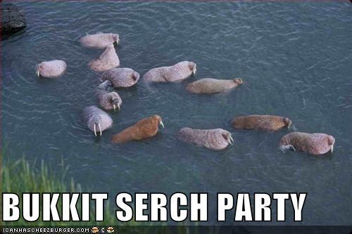 funny_pictures_walruses_water_search_party.jpg