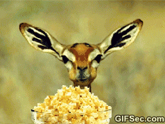 Deer_popcorn_gif.gif