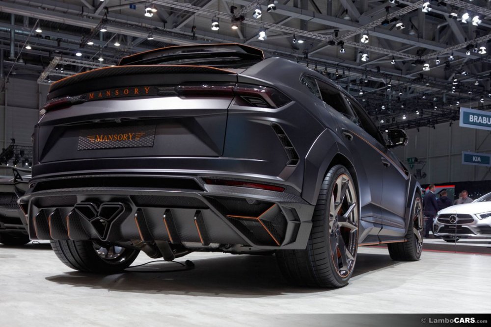 mansory_venatus_6.jpg